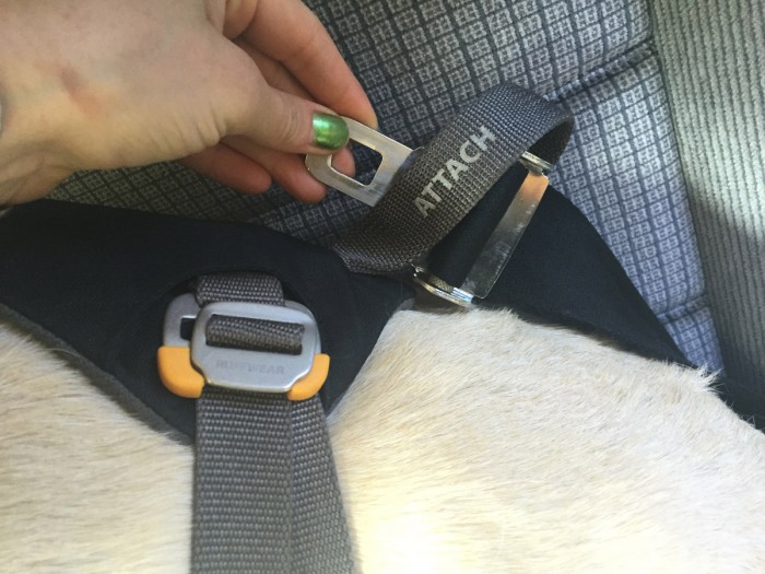 ‘Buckle Up’ Your Pup Ruffwear Harness Safety Belt Gear Junkie